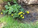 2010-04-24, Röhrsdorfer Grund (9)